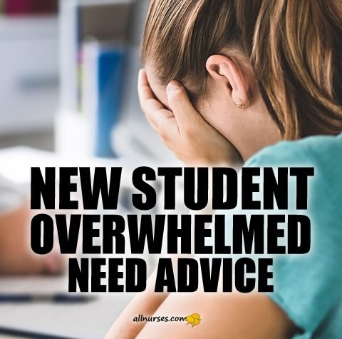 new-student-overwhelmed-need-advice.jpg.e6cb35fdb636e929d528c78c7513cf63.jpg