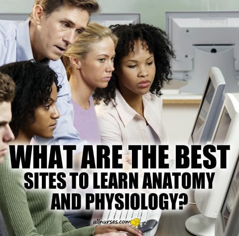 what-are-best-sites-learn-anatomy-physiology.jpg.df3c7bd5b5b12dcc4bff587745a34e6c.jpg