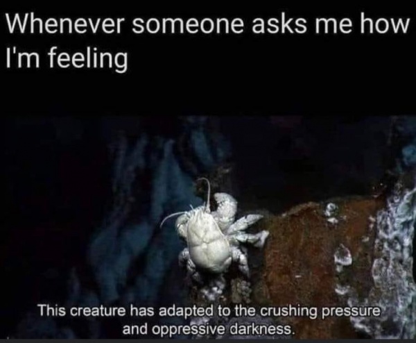 me since last friday.jpg