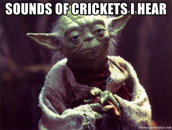 sounds-of-crickets-i-hear.jpg