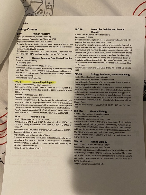 13D795E6-F2E7-42F4-A8A5-5244EB419884.jpeg