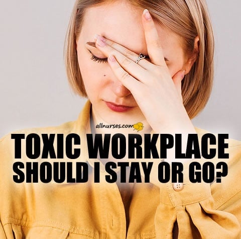 toxic-workplace-stay-or-quit.jpg.da42d8f1141c98aea11b57f507d07c8b.jpg