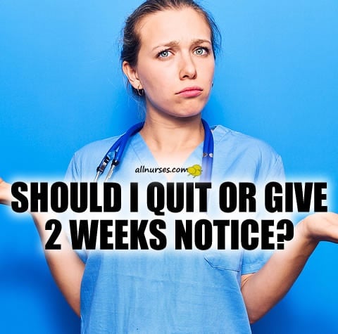 should-quit-or-give-two-weeks-notice.jpg.123651b00b557997b38e24a42f745a32.jpg