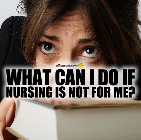 what-can-do-if-nursing-not-for-student.jpg.e4d59b520578b90ba2ea0dd60df47e01.jpg