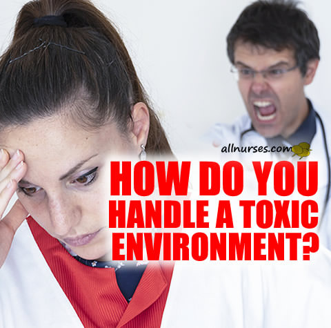 nurse-how-handle-toxic-environment.jpg.615d61517a32435f7ca435d07e31f63a.jpg