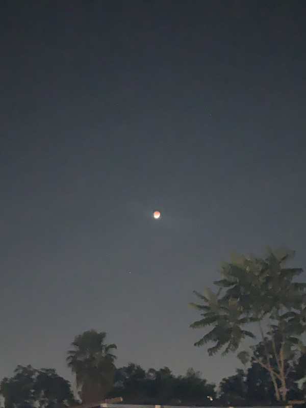 509D7DE2-C464-4F13-90D5-B7BAC253AB80.jpeg