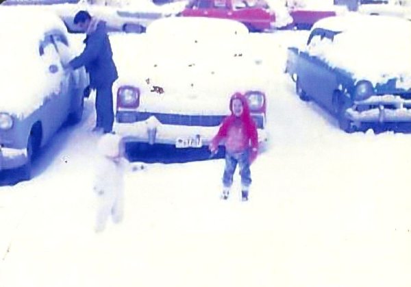 alaska.jpeg
