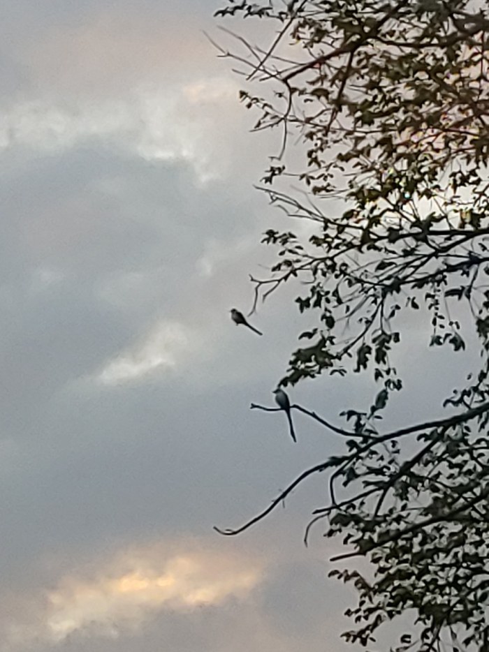20230525_201904.jpg