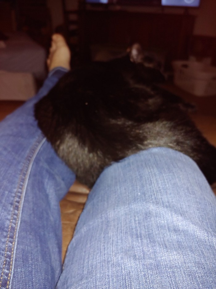 20230702_212959.jpg