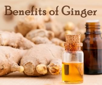 Ginger: Not Just Another Tasty Herb