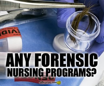 Forensic Nursing (FN): Programs