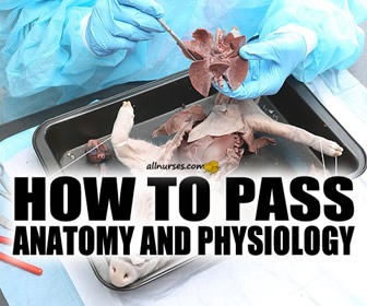 How can you pass Anatomy & Physiology 1?