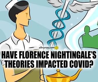 Florence Nightingale and Environmental Theory