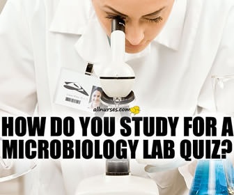 How do you study for Microbiology lab quizzes?