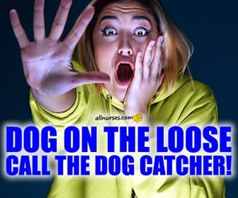 Halloween Humor: There's A Dog Loose!