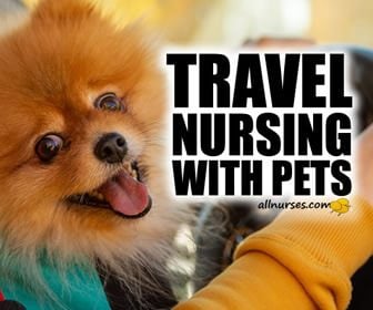 Pet-Friendly Travel Nursing | Assignments with Your Companion