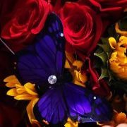 OncRN_25
